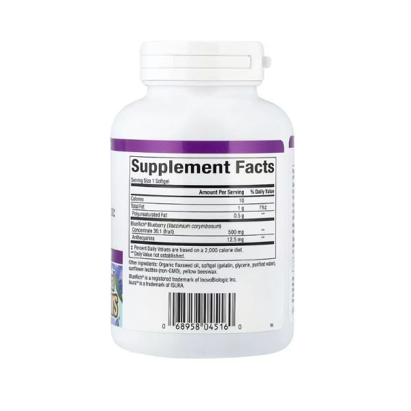 Natural Factors BlueRich Super Strength Blueberry Concentrate 500mg, 90 Softgels in Pakistan thumbnail 2