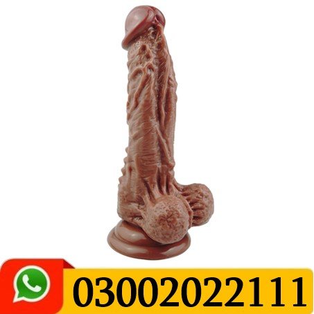 Cock Of Old Men In Pakistan