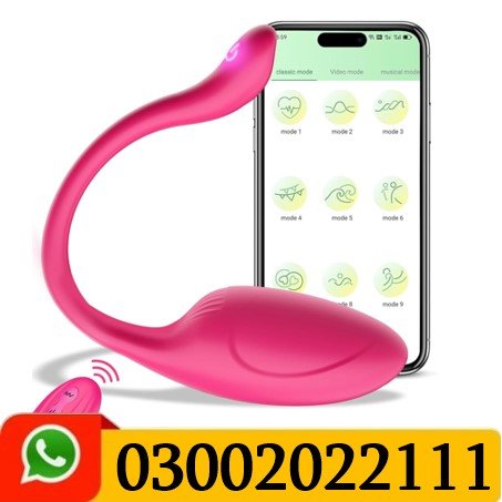 Pink Fun Long Distance Panty Vibrator In Pakistan